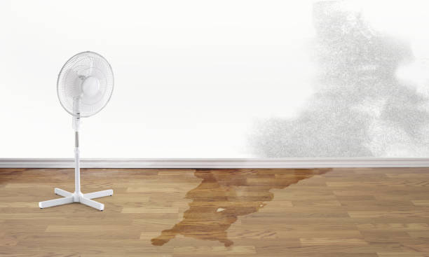 Best Commercial water damage restoration  in Sweetwater, FL