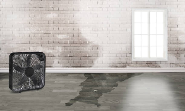 Best Water damage restoration near me  in Sweetwater, FL