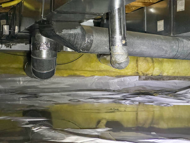 Best Mold removal after water damage  in Sweetwater, FL