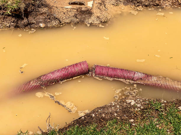 Best Basement water damage restoration  in Sweetwater, FL